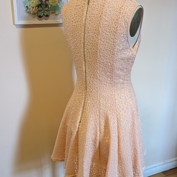 Vintage Calvin Klein | Size 12 | Pink Burnout Velvet - Picture 2 of 3